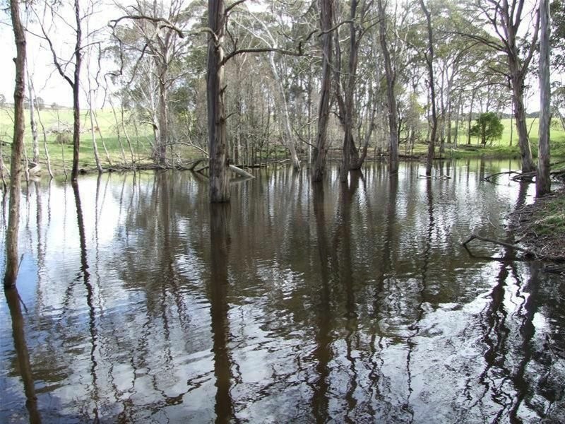 23 Sheepstation Forest Road, Gingkin NSW 2787