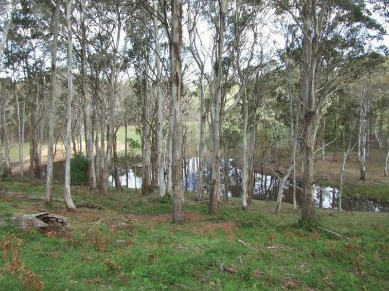 23 Sheepstation Forest Road, Gingkin NSW 2787