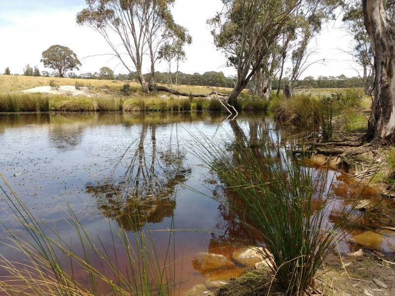 23 Sheepstation Forest Road, Gingkin NSW 2787