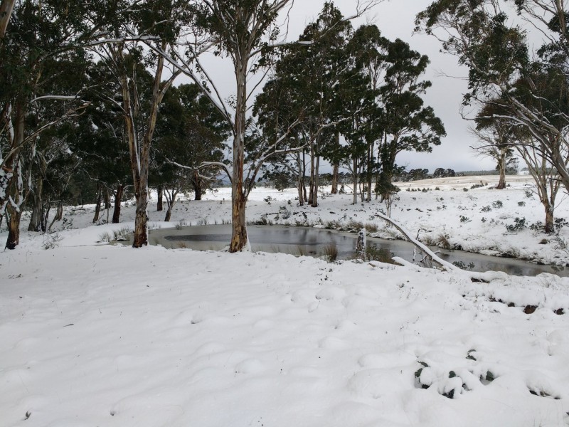 23 Sheepstation Forest Road, Gingkin NSW 2787