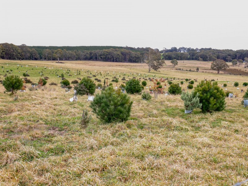 23 Sheepstation Forest Road, Gingkin NSW 2787