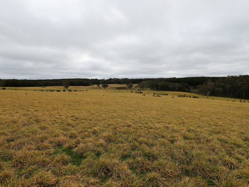 23 Sheepstation Forest Road, Gingkin NSW 2787