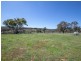 1362 Bald Ridge Road, Burraga NSW 2795