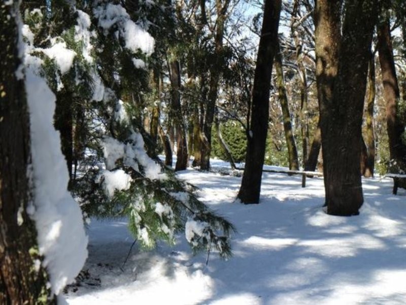 Rosewood/935 Duckmaloi Road, Oberon NSW 2787