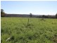 189 Hintons Road Burraga, Oberon NSW 2787