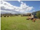 80 Currys Road, Black Springs NSW 2787