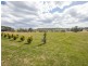 80 Currys Road, Black Springs NSW 2787