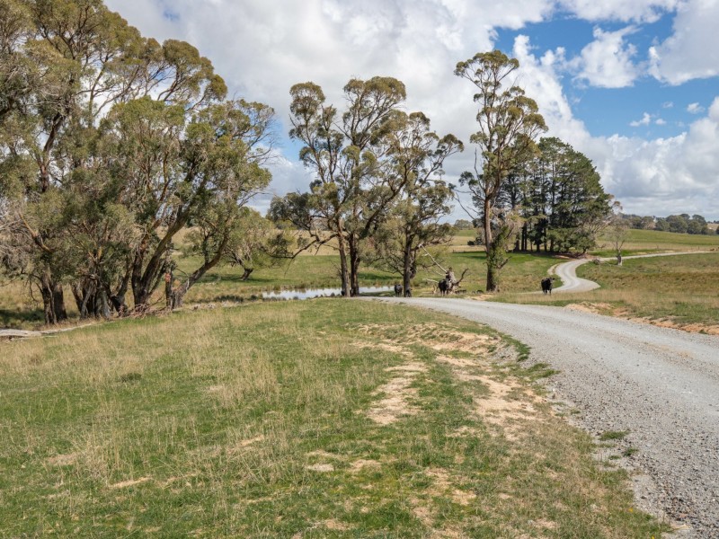 80 Currys Road, Black Springs NSW 2787