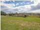 80 Currys Road, Black Springs NSW 2787