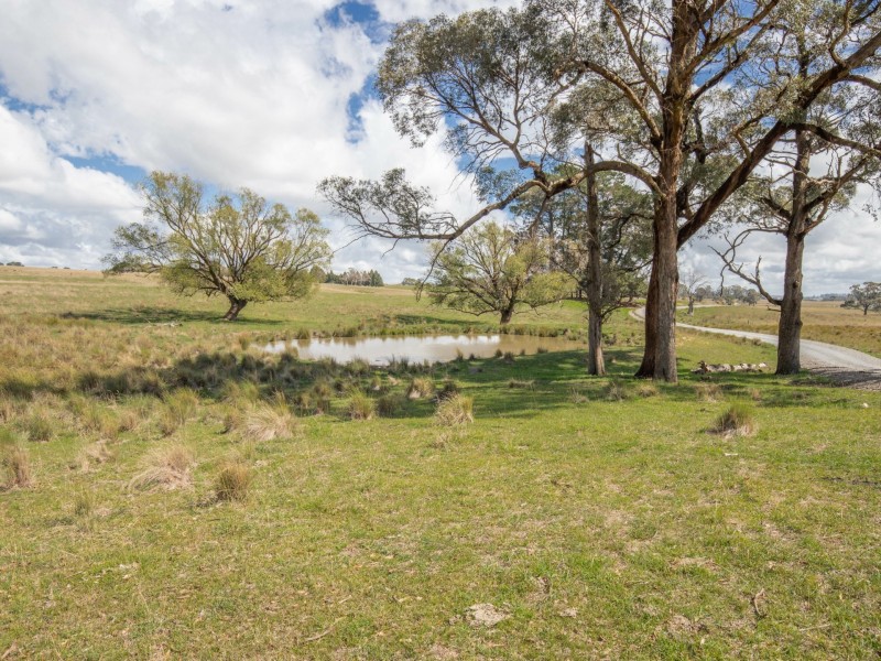 80 Currys Road, Black Springs NSW 2787