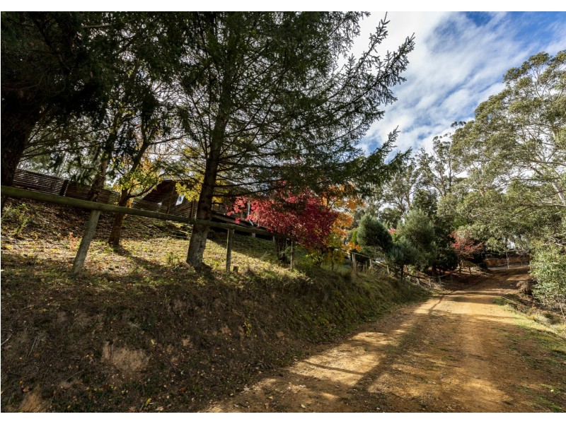 375 Sheepstation Forest Road, Oberon NSW 2787
