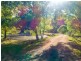 375 Sheepstation Forest Road, Oberon NSW 2787