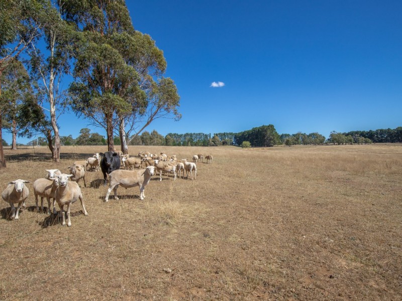 267 McKeons Creek Road, Oberon NSW 2787