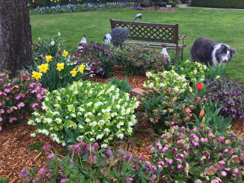 5 Raleigh Street, Oberon NSW 2787