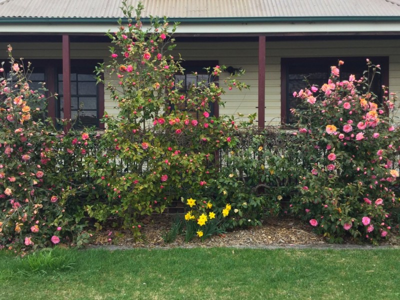 5 Raleigh Street, Oberon NSW 2787