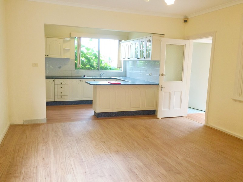 141 Duntroon Street, Hurlstone Park NSW 2193