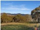 444 Ryrie Hill Road, Michelago NSW 2620