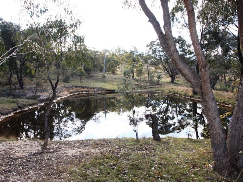444 Ryrie Hill Road, Michelago NSW 2620