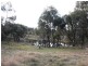 444 Ryrie Hill Road, Michelago NSW 2620