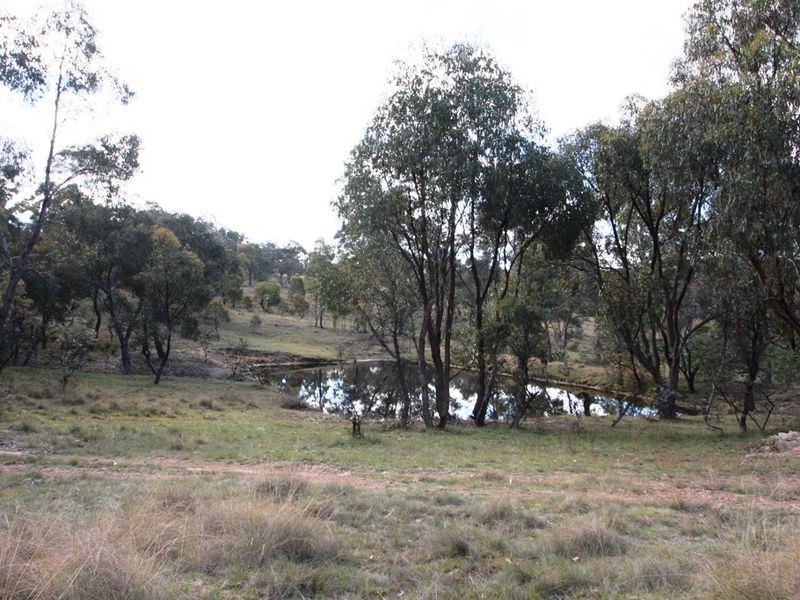 444 Ryrie Hill Road, Michelago NSW 2620