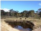 444 Ryrie Hill Road, Michelago NSW 2620