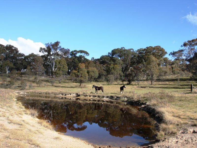 444 Ryrie Hill Road, Michelago NSW 2620
