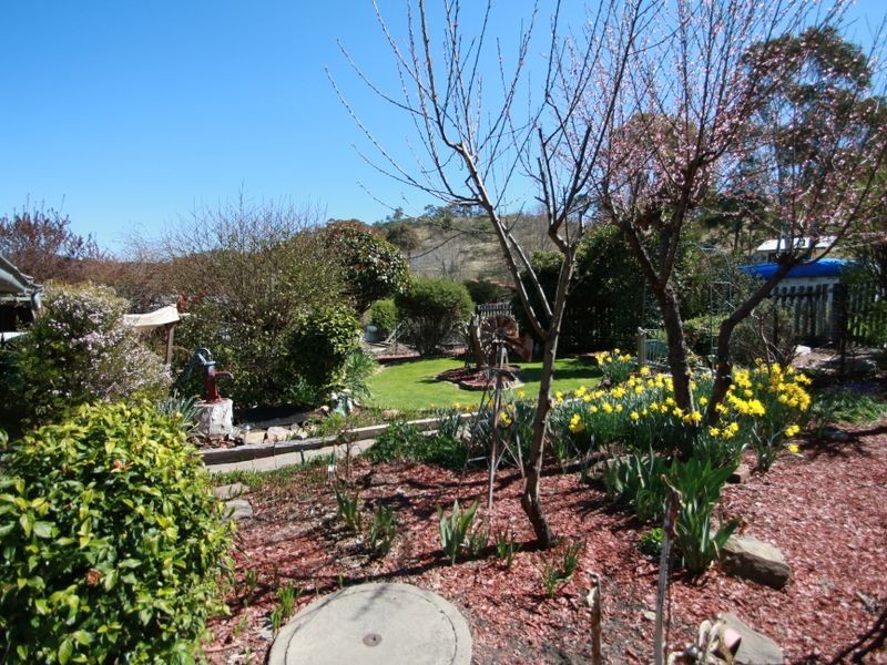 187 Foxlow Street, Captains Flat NSW 2623
