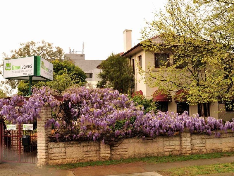 24 Lowe Street, Queanbeyan NSW 2620