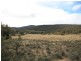 263 Old Mill Road, Forbes Creek NSW 2621