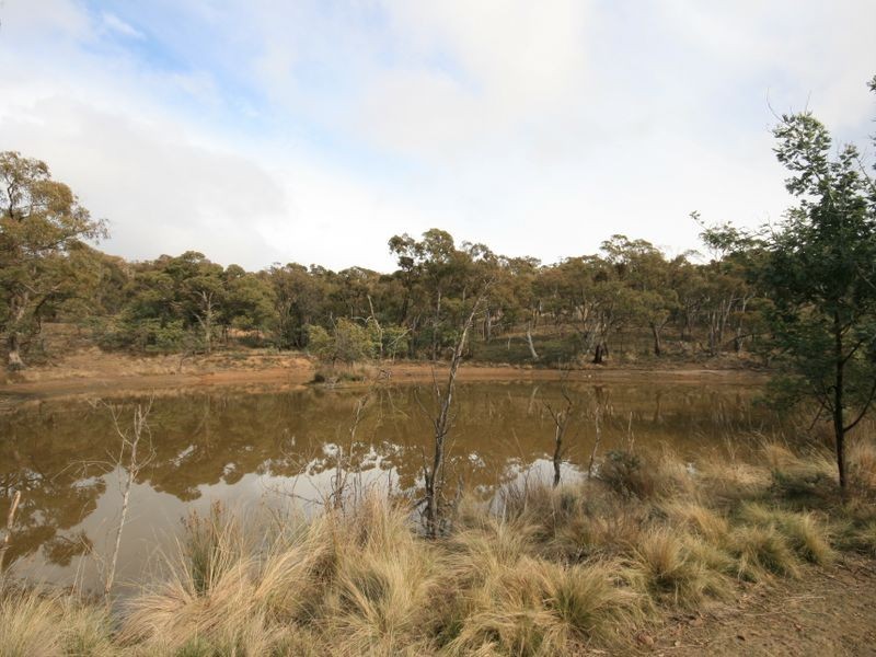 263 Old Mill Road, Forbes Creek NSW 2621