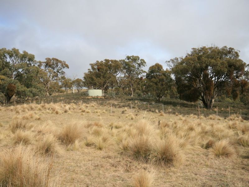263 Old Mill Road, Forbes Creek NSW 2621