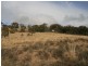 263 Old Mill Road, Forbes Creek NSW 2621