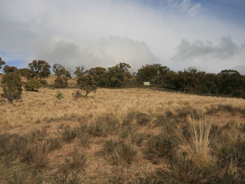 263 Old Mill Road, Forbes Creek NSW 2621