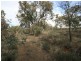 263 Old Mill Road, Forbes Creek NSW 2621