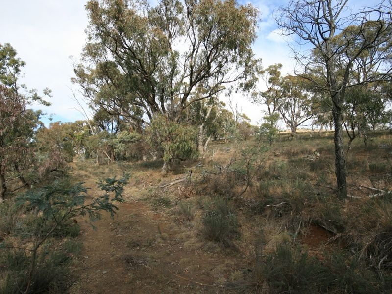 263 Old Mill Road, Forbes Creek NSW 2621