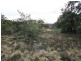263 Old Mill Road, Forbes Creek NSW 2621