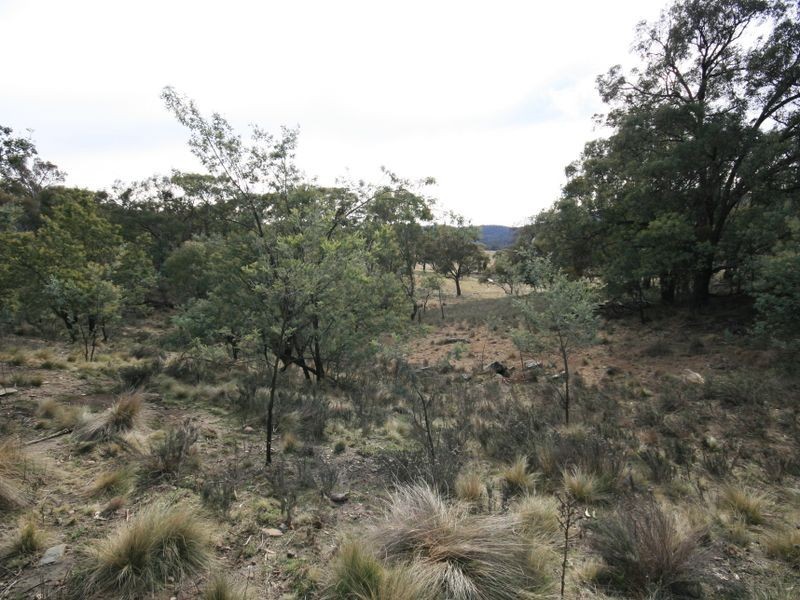 263 Old Mill Road, Forbes Creek NSW 2621