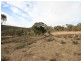 263 Old Mill Road, Forbes Creek NSW 2621