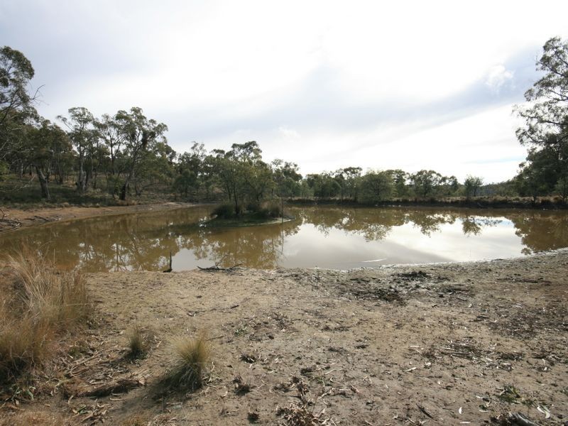 263 Old Mill Road, Forbes Creek NSW 2621