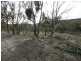 263 Old Mill Road, Forbes Creek NSW 2621