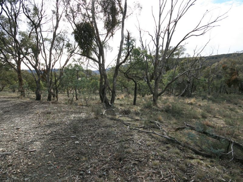 263 Old Mill Road, Forbes Creek NSW 2621