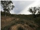 263 Old Mill Road, Forbes Creek NSW 2621