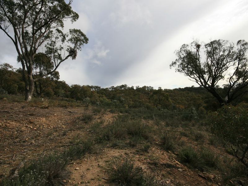 263 Old Mill Road, Forbes Creek NSW 2621