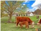 1474 Captains Flat Road, Carwoola ACT 2620