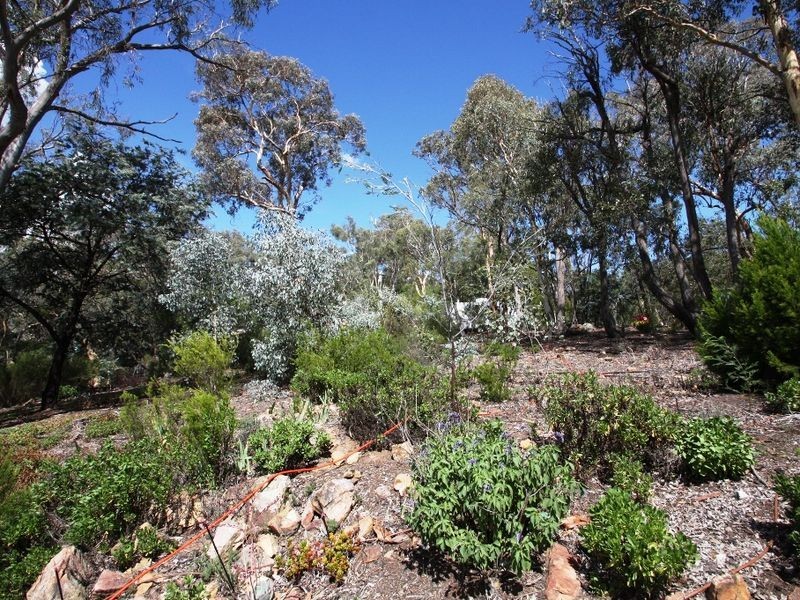 7 Considine Close, Booroomba NSW 2620