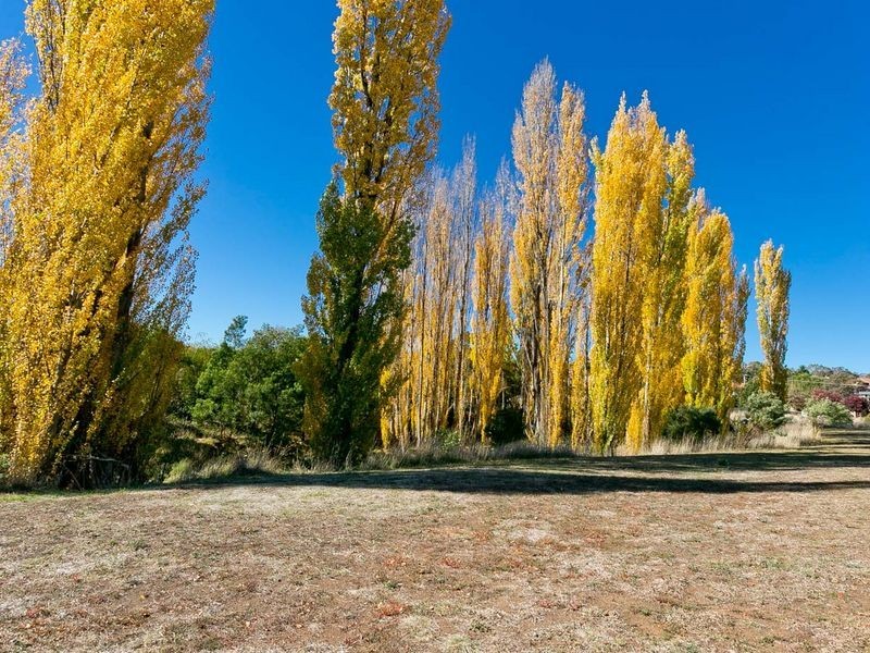 3/19 Barracks Flat Drive, Queanbeyan NSW 2620
