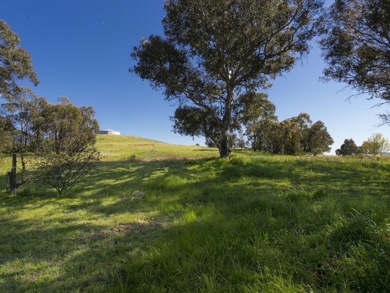 15 Graham Place, Queanbeyan NSW 2620