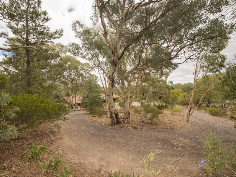 74 Severne Street, Greenleigh NSW 2620