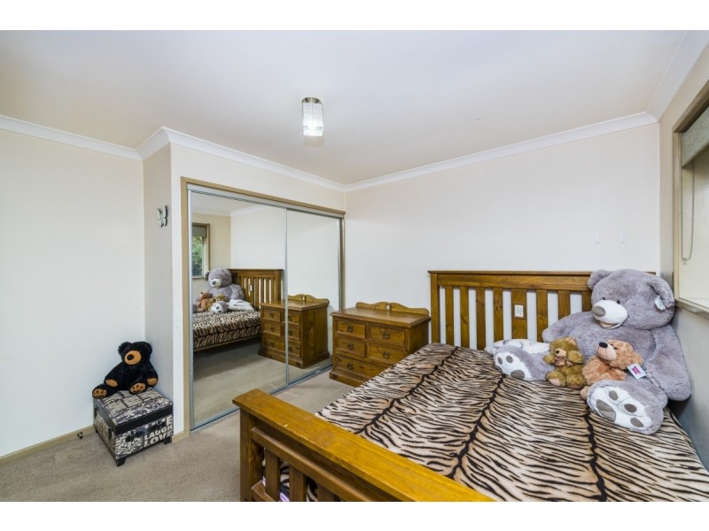 53 Campbell Street, Queanbeyan NSW 2620
