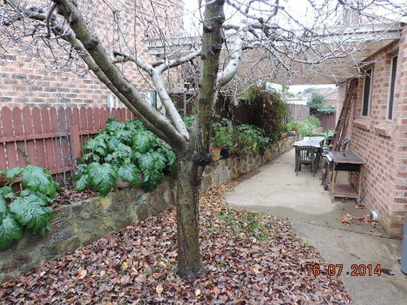 2 Mcinness Street, Queanbeyan NSW 2620